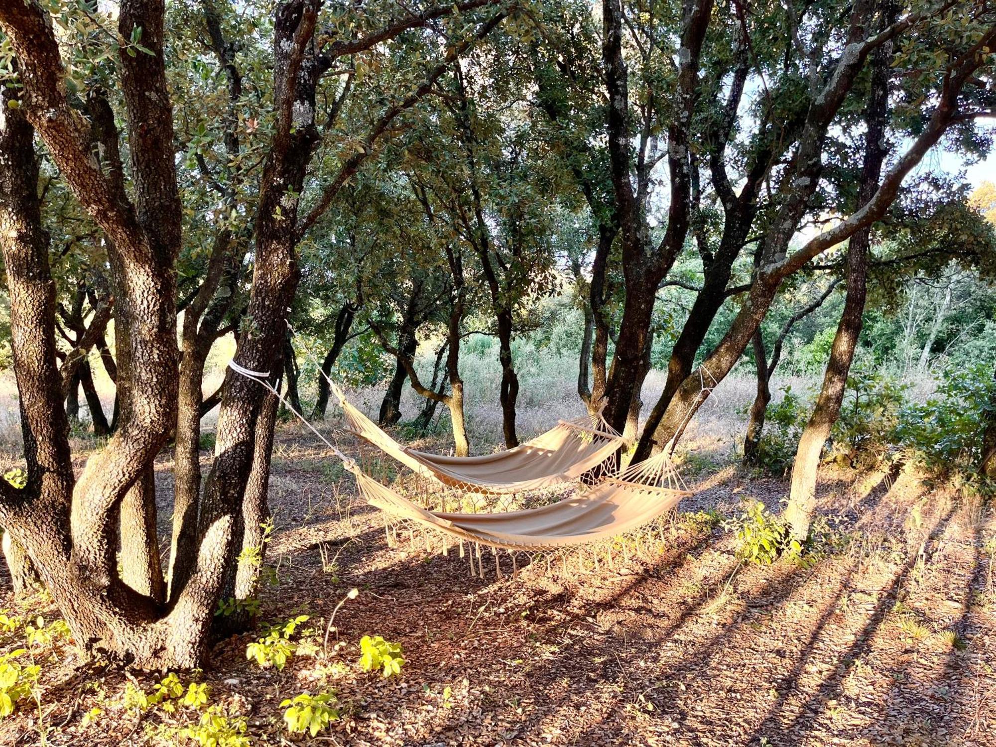Nuiki Lodges - Chambres D'Hotes Montségur-sur-Lauzon Εξωτερικό φωτογραφία